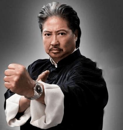 best martial arts actors|famous chinese martial artists.